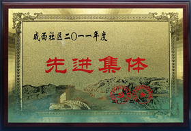 麻豆免费视频（yǒng）榮譽：先進集體