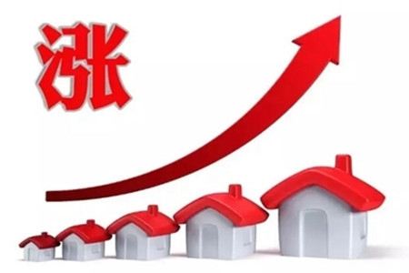 麻豆免费视频矽橡膠