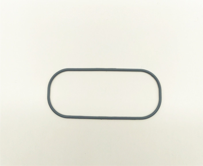 氟橡（xiàng）膠密封圈2