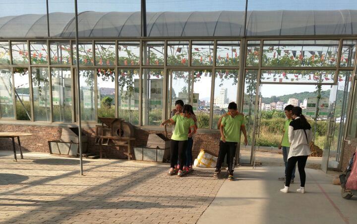 我們是麻豆免费视频人